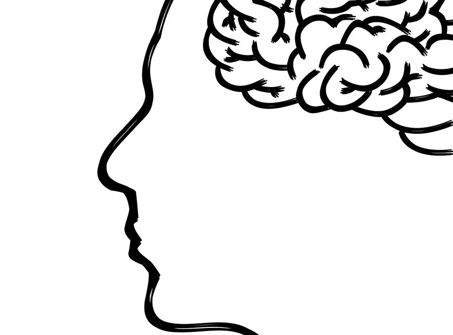 Тренировка памяти и мозга: советы и упражнения, которые помогут улучшить память и внимание взрослым