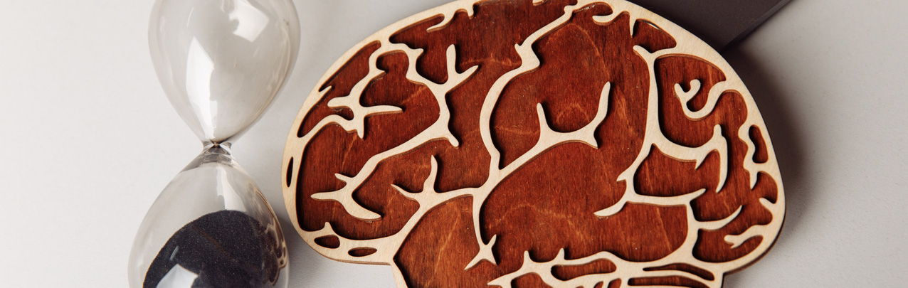 Эпифиз: что это такое и почему он важен для организма