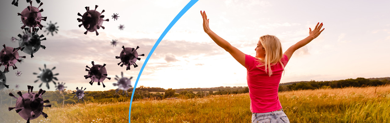 Тимус и его роль в иммунной системе организма